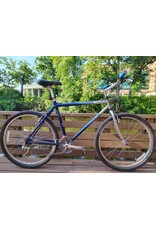 Trek, Mountain Track, L, Blue/Silver