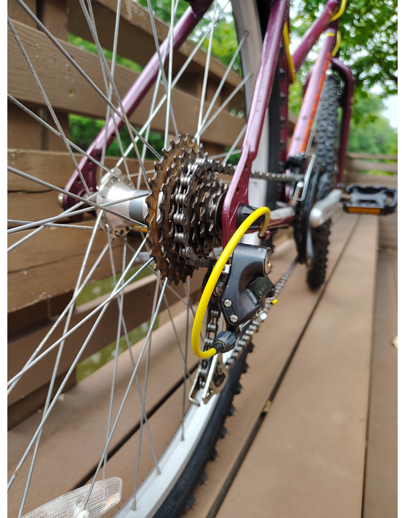 Schwinn, Clear Creek, M, Purple-y Red