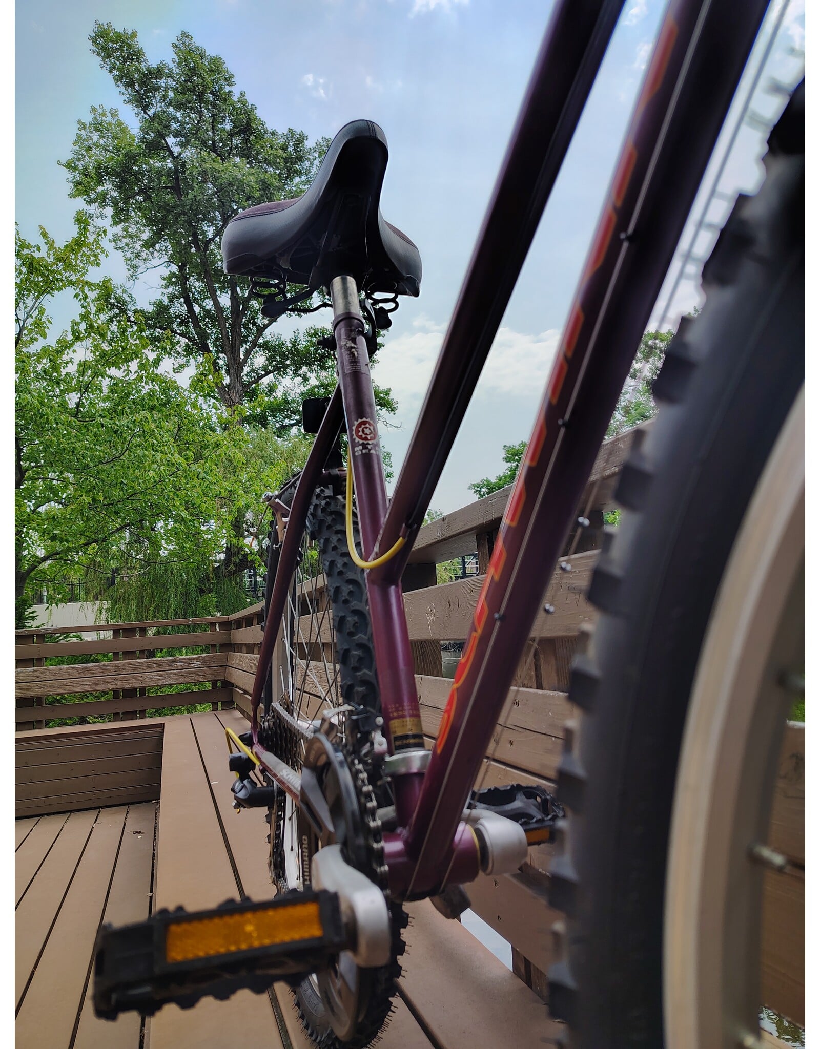 Schwinn, Clear Creek, M, Purple-y Red
