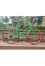 Schwinn, Suburban, L, Green