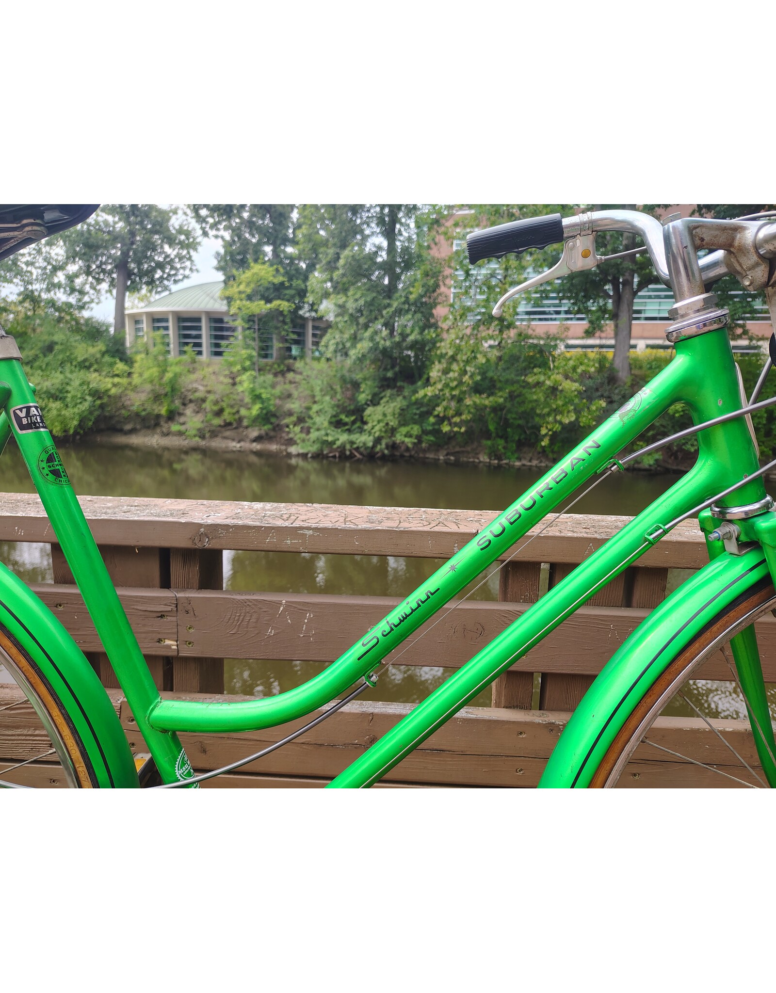 Schwinn, Suburban, L, Green
