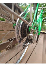 Schwinn, Suburban, L, Green