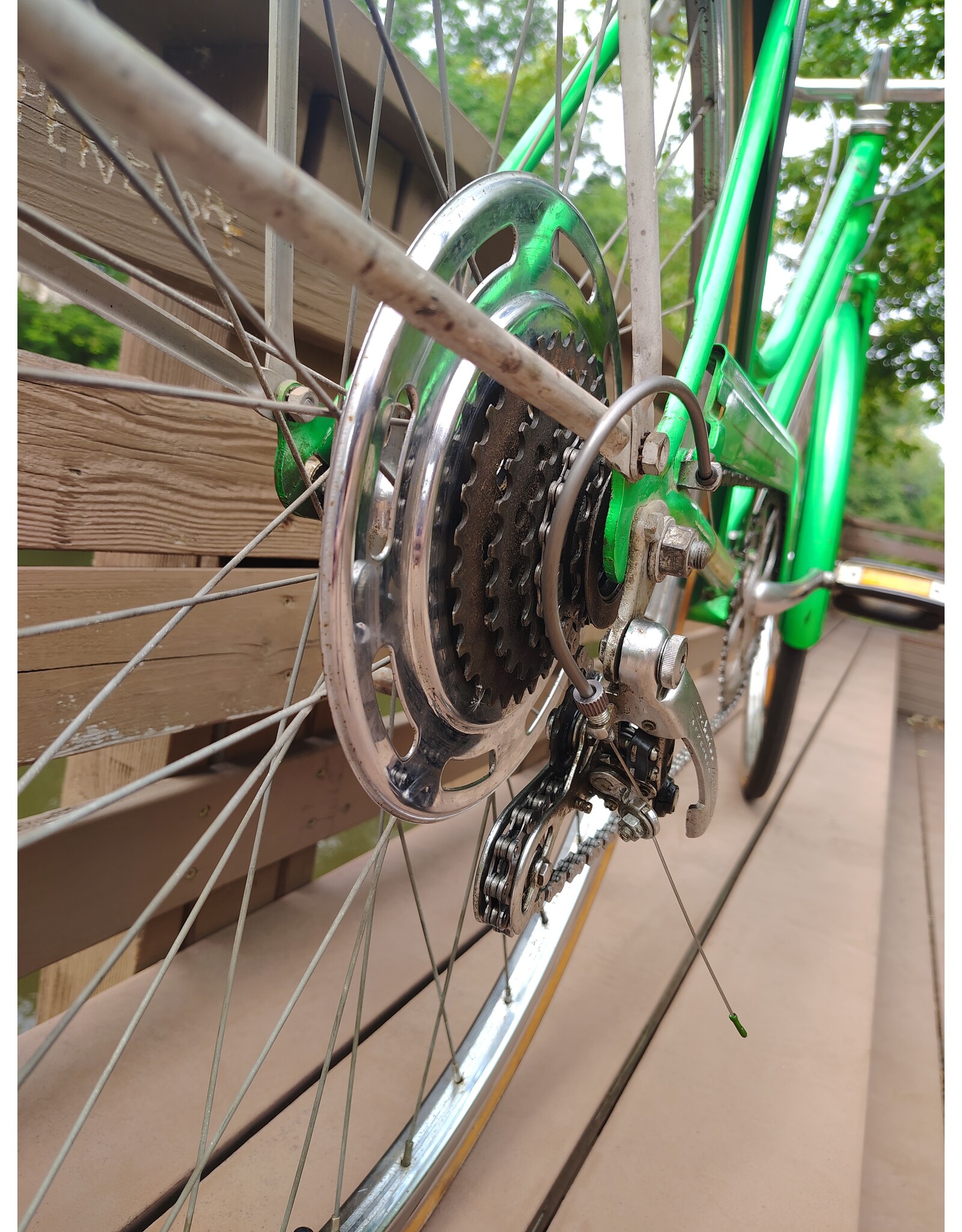 Schwinn, Suburban, L, Green