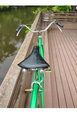 Schwinn, Suburban, L, Green
