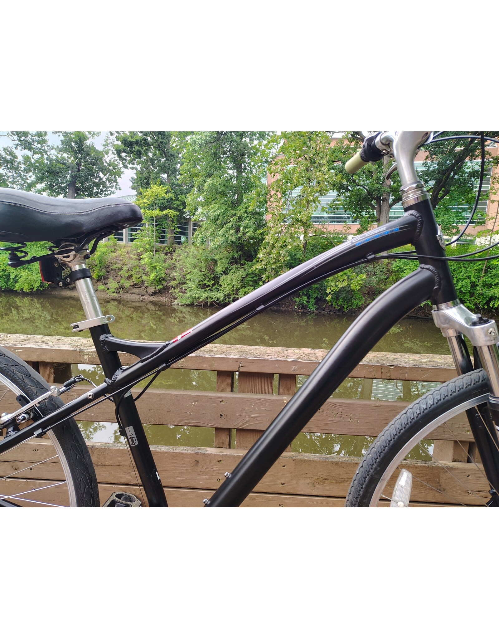 Specialized, Globe, L, Black