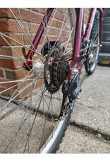 Raleigh, Mountain Trail, L, Red