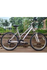 Giant, Boulder SE, M, Silver/Purple