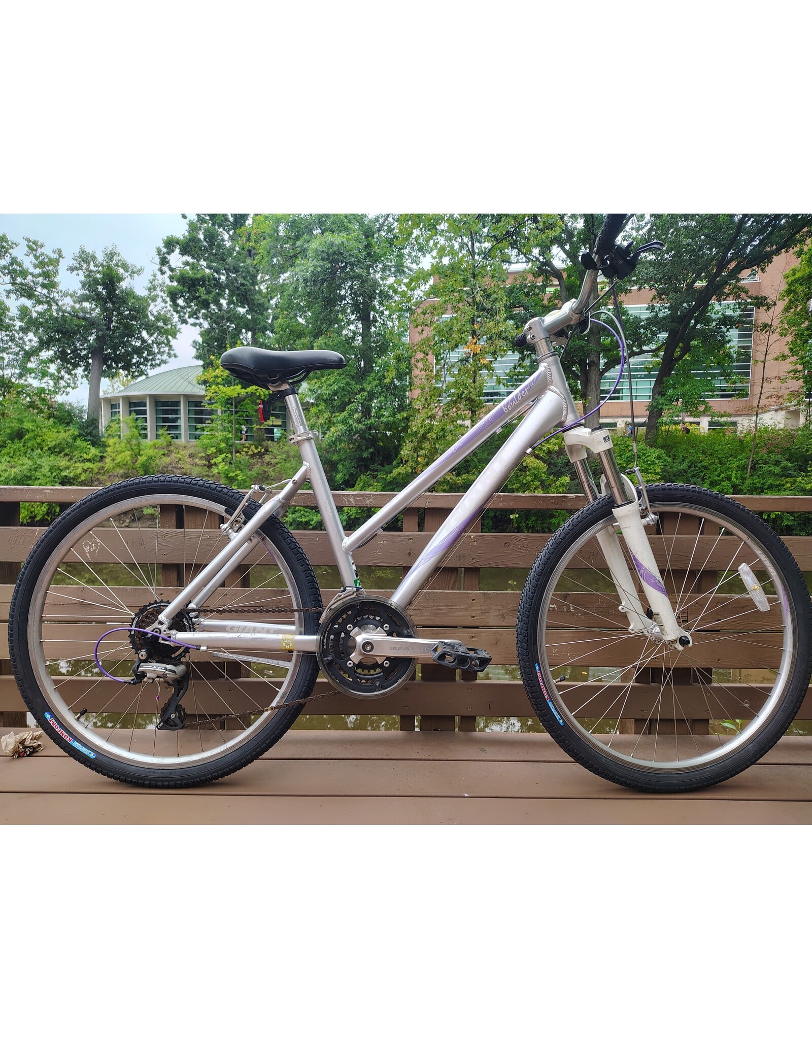 Giant, Boulder SE, M, Silver/Purple