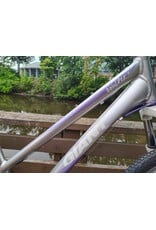 Giant, Boulder SE, M, Silver/Purple