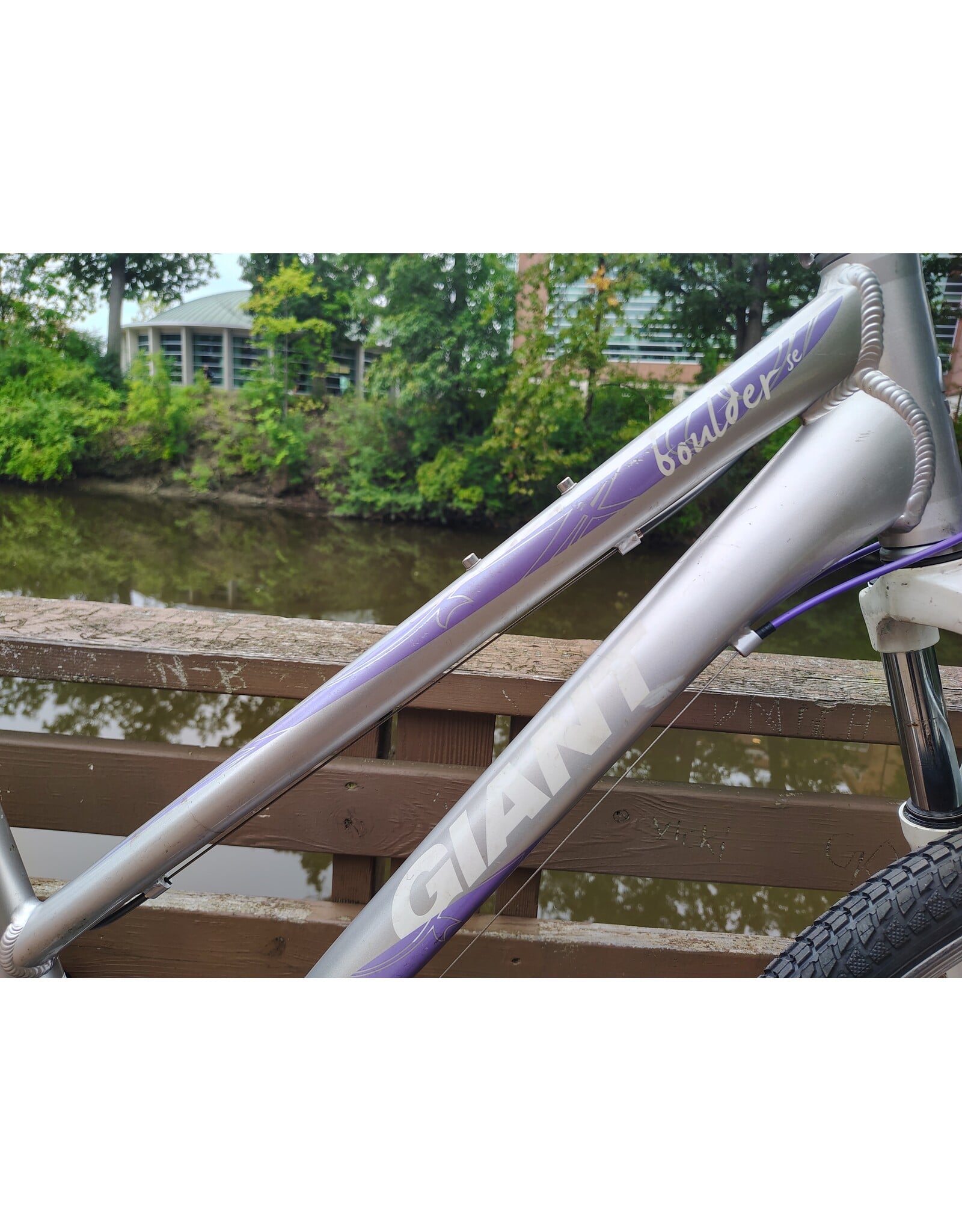 Giant, Boulder SE, M, Silver/Purple