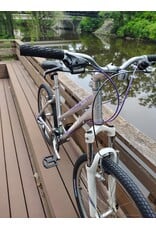 Giant, Boulder SE, M, Silver/Purple