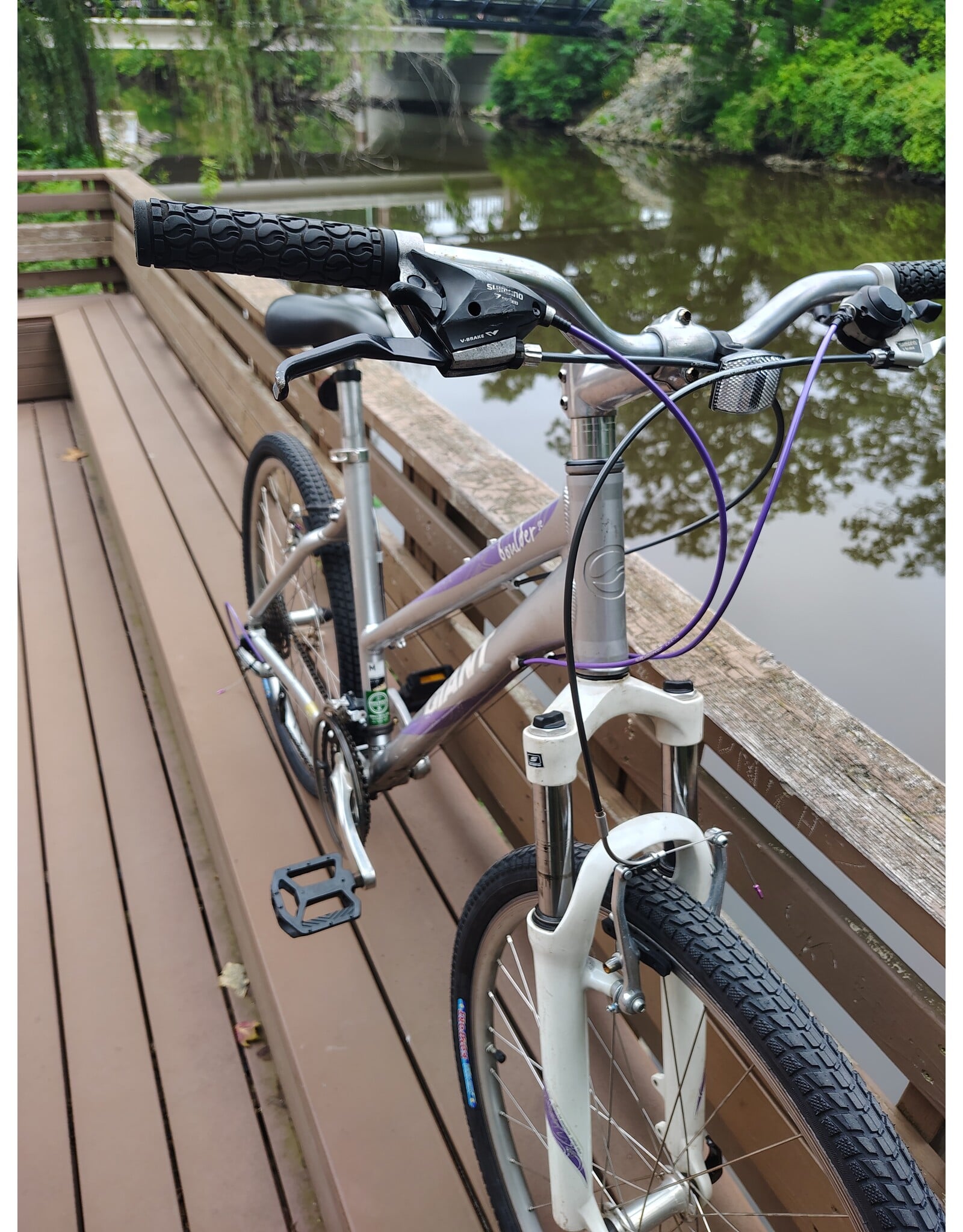 Giant, Boulder SE, M, Silver/Purple