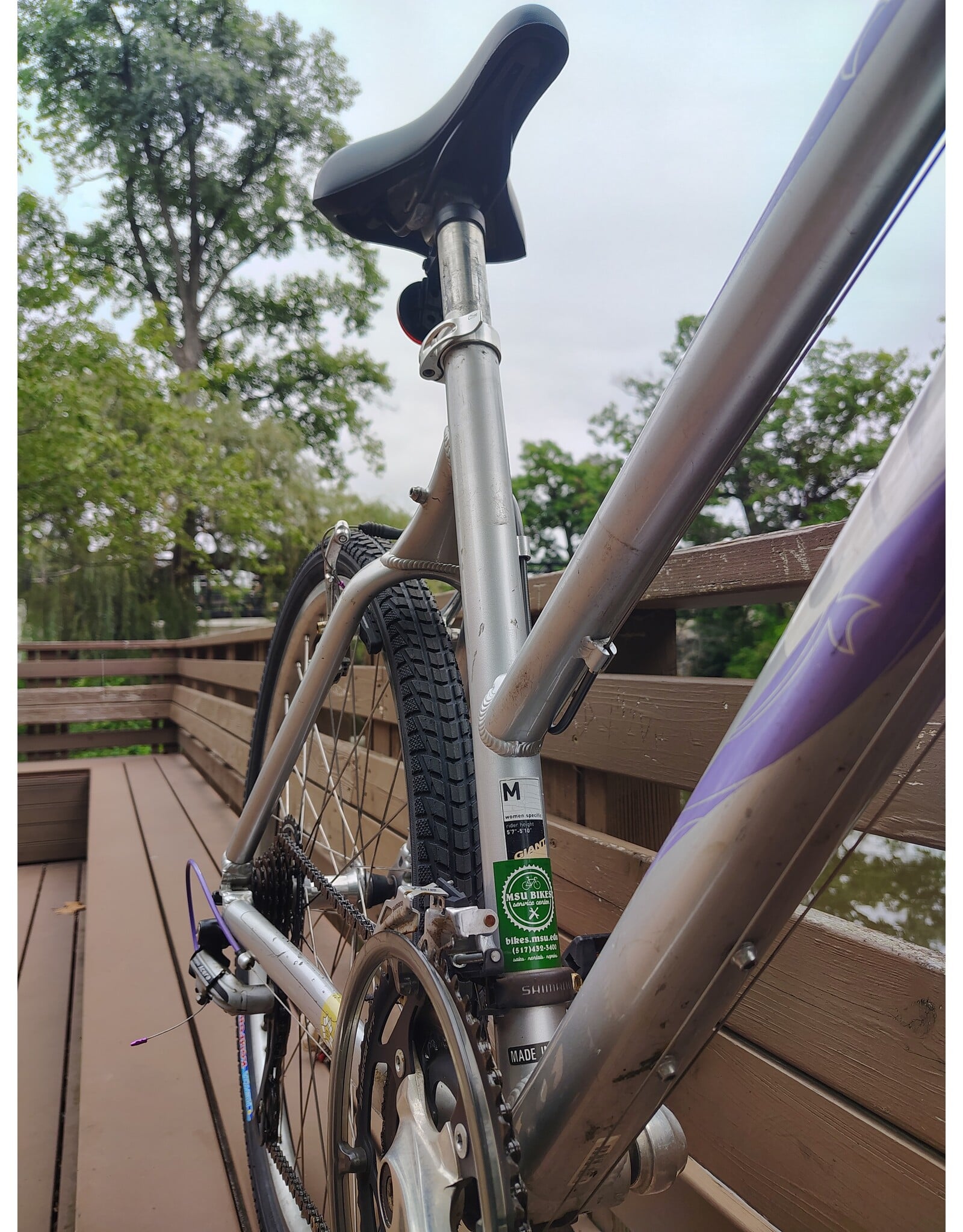 Giant, Boulder SE, M, Silver/Purple