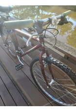 Trek, Mountain Track, M, Burgundy