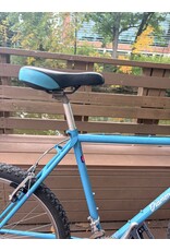 Diamonback, Ascent, bright blue, 20/L