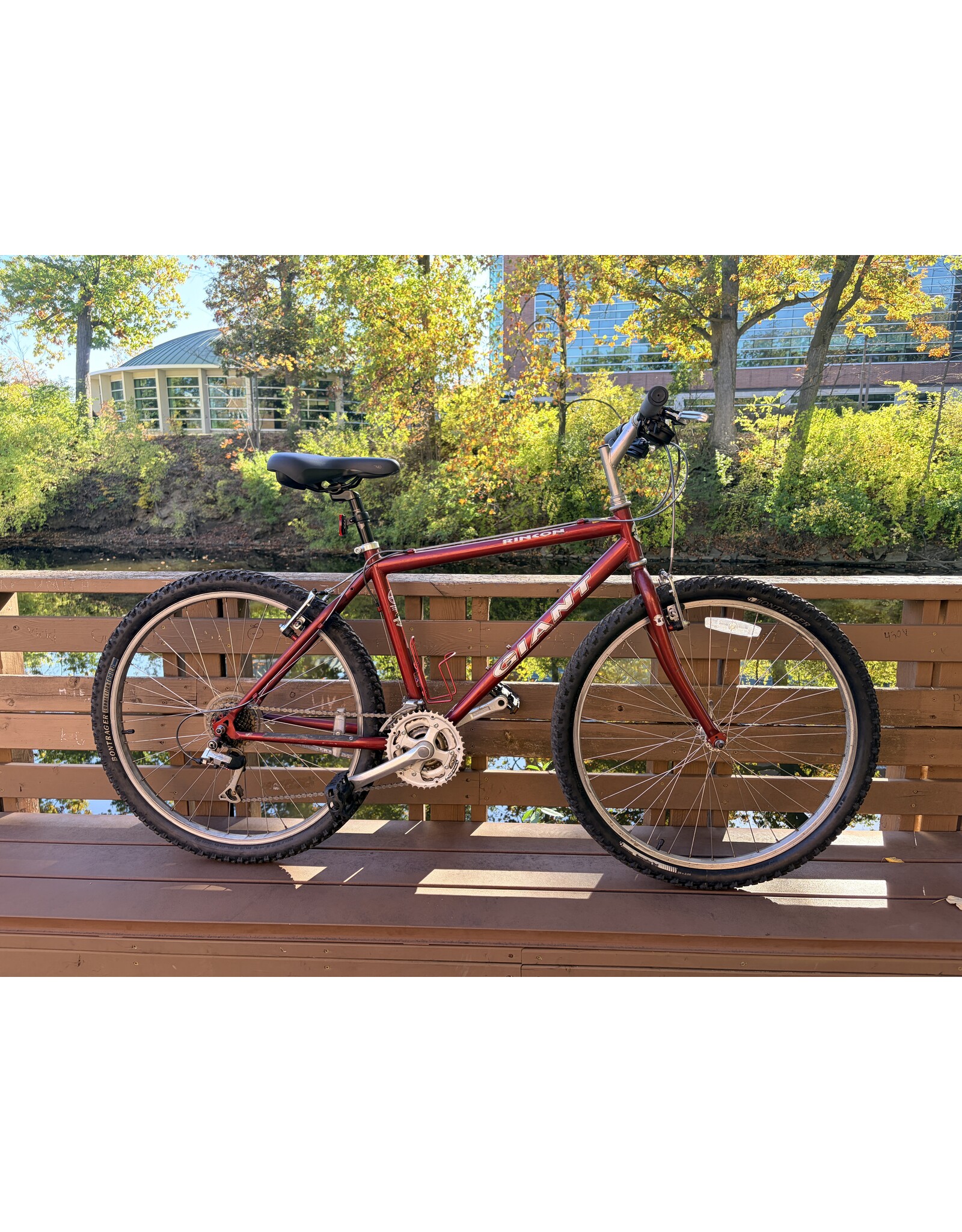 Giant Rincon M/18in maroon