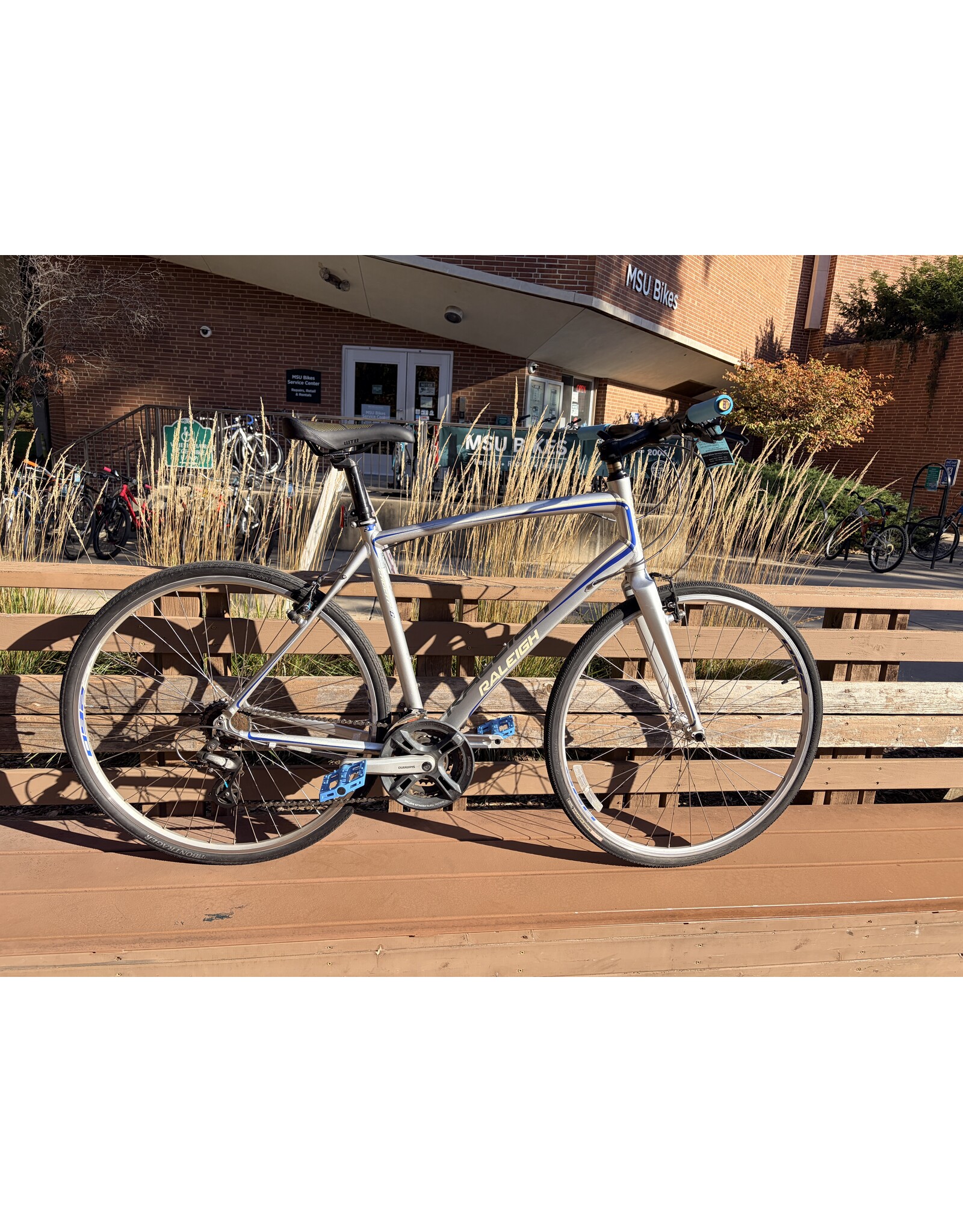 Raleigh cadent silver XL/21in