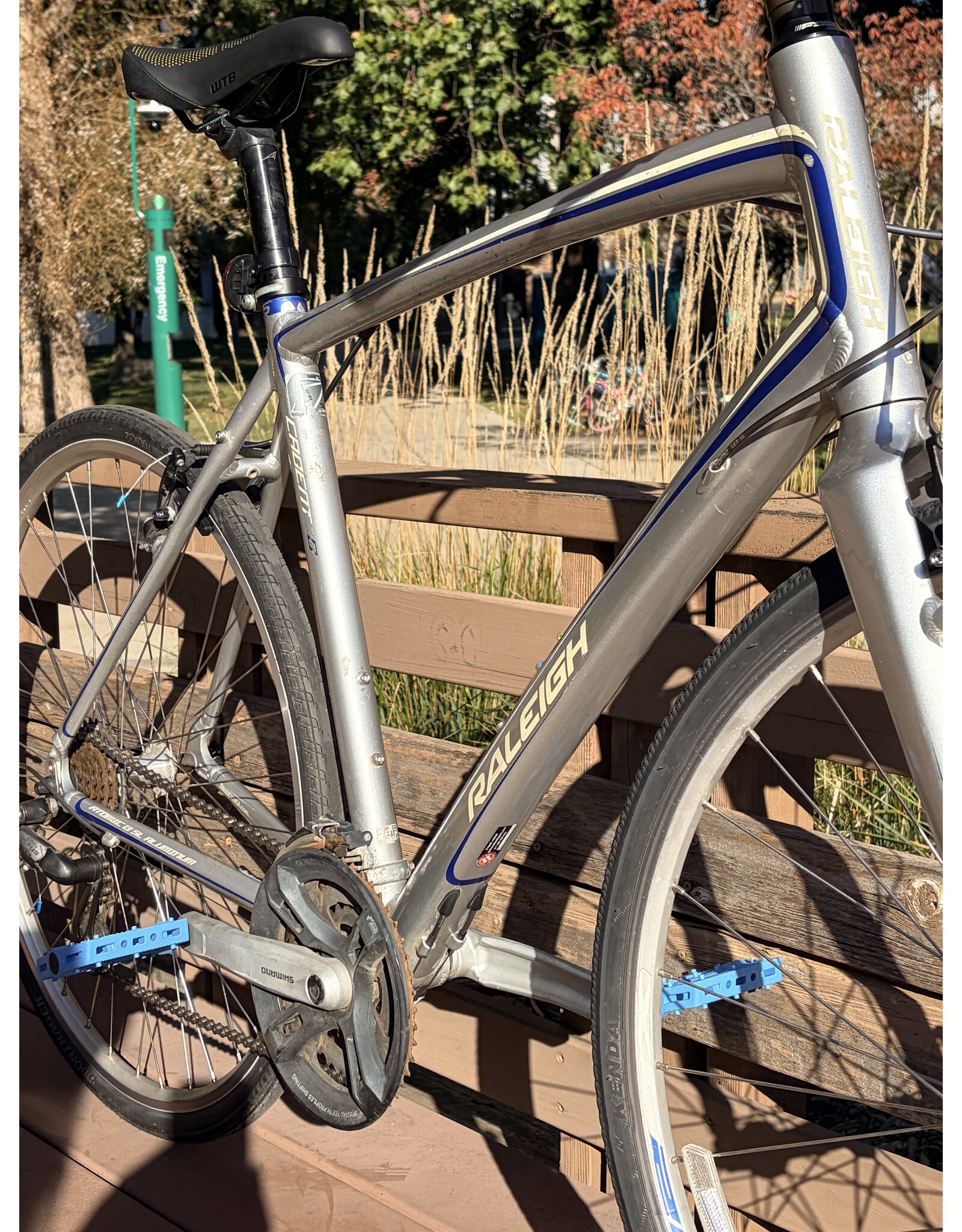 Raleigh cadent silver XL/21in