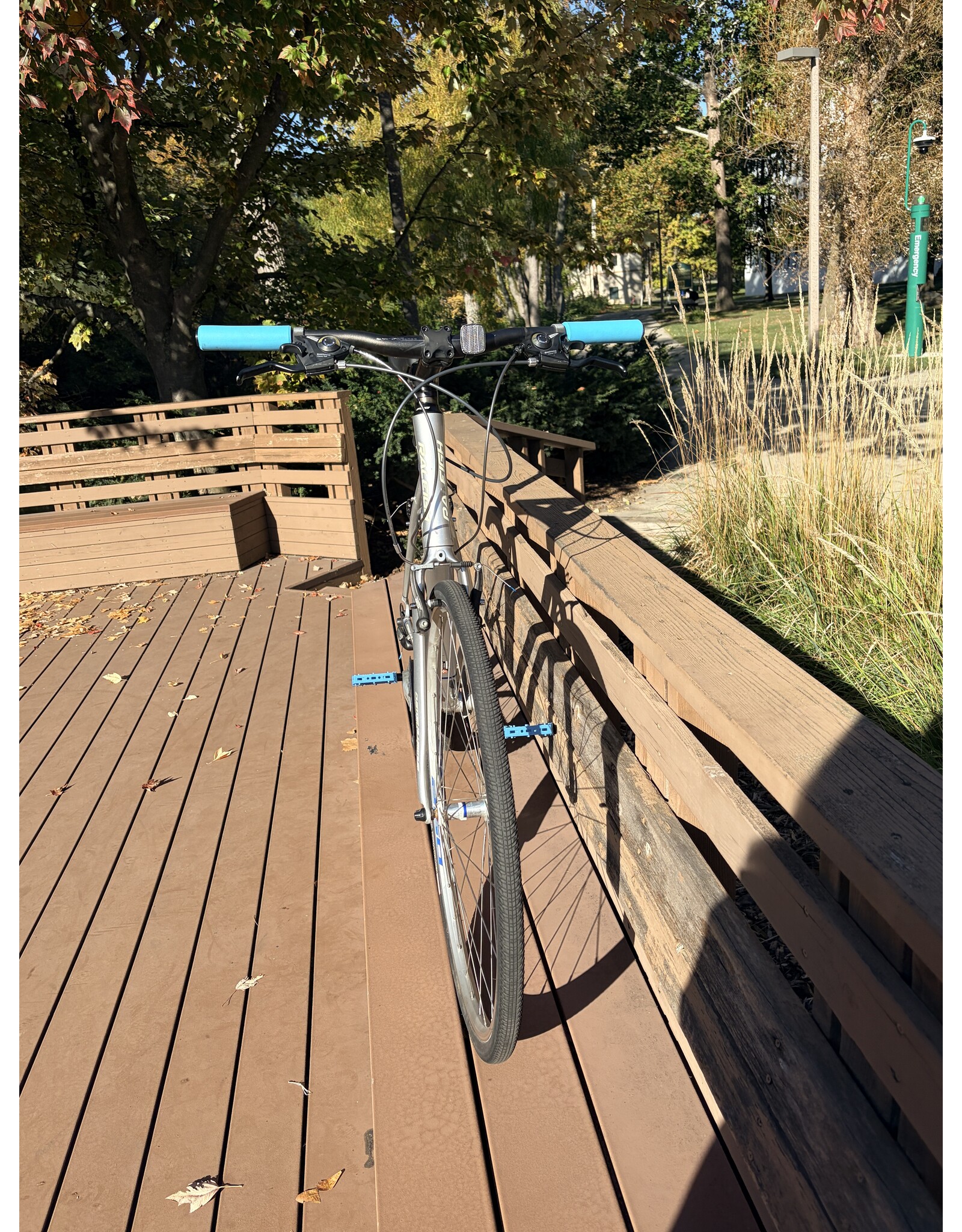 Raleigh cadent silver XL/21in