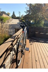 Raleigh cadent silver XL/21in