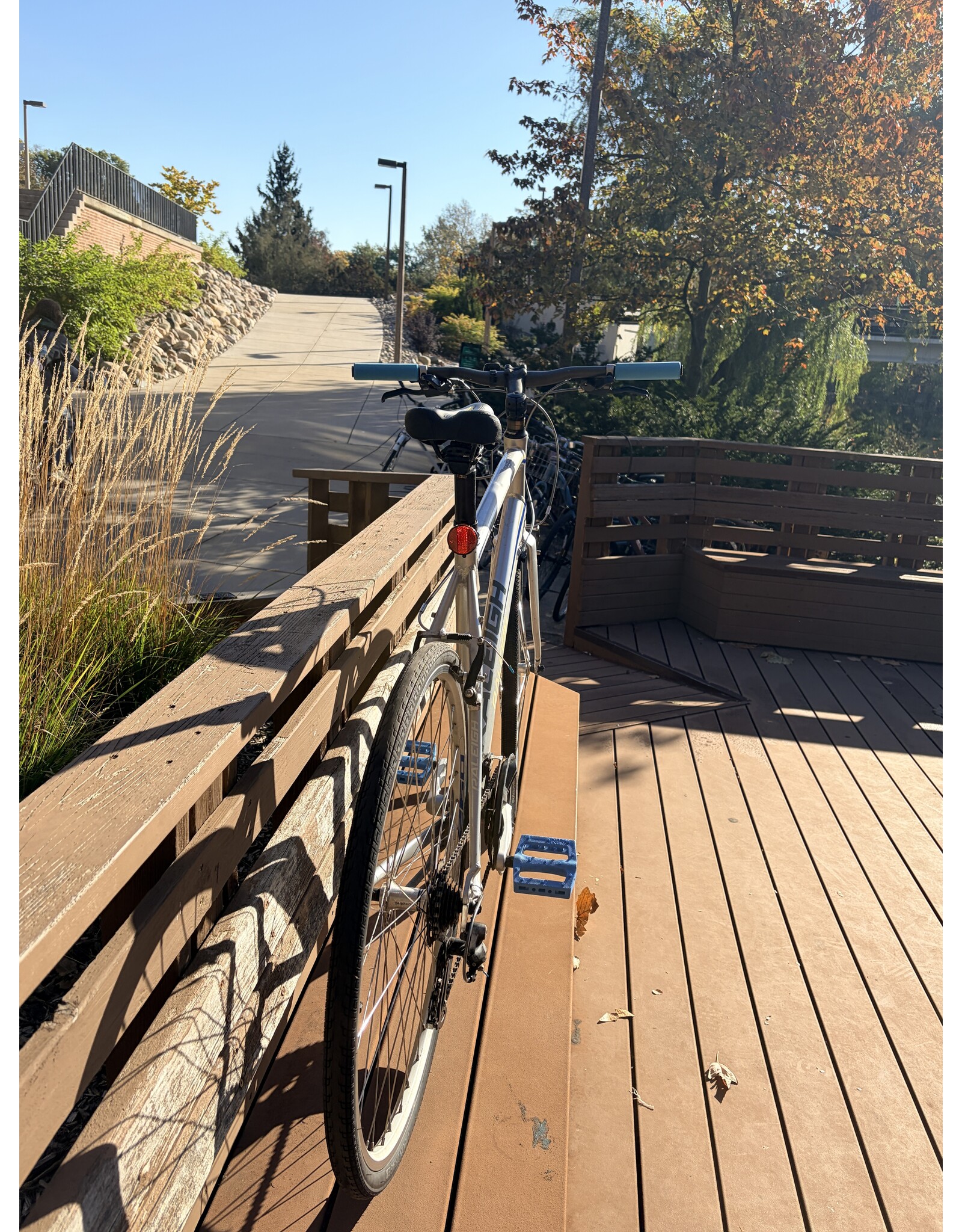 Raleigh cadent silver XL/21in