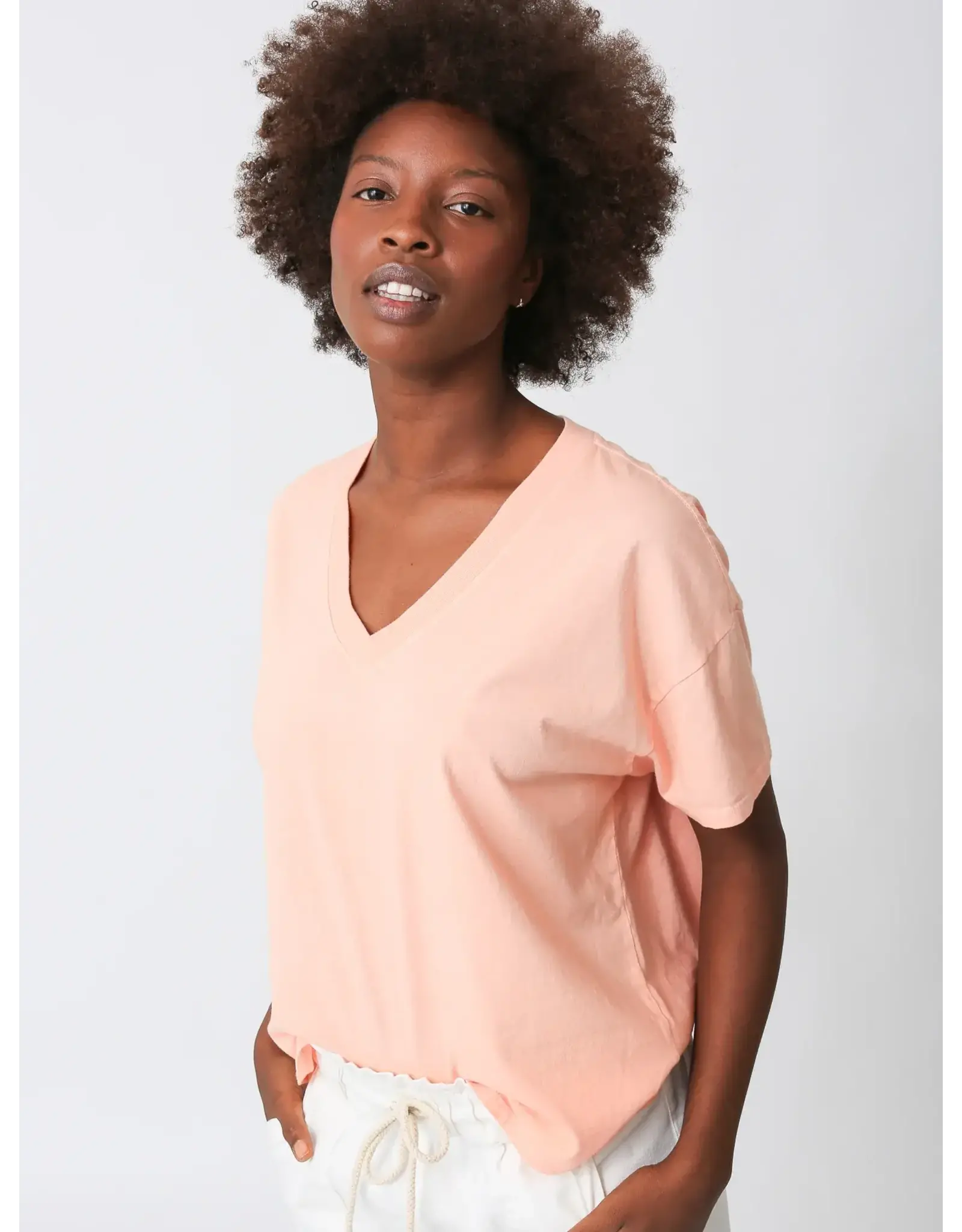 ELECTRIC & ROSE CHASE VNECK TEE