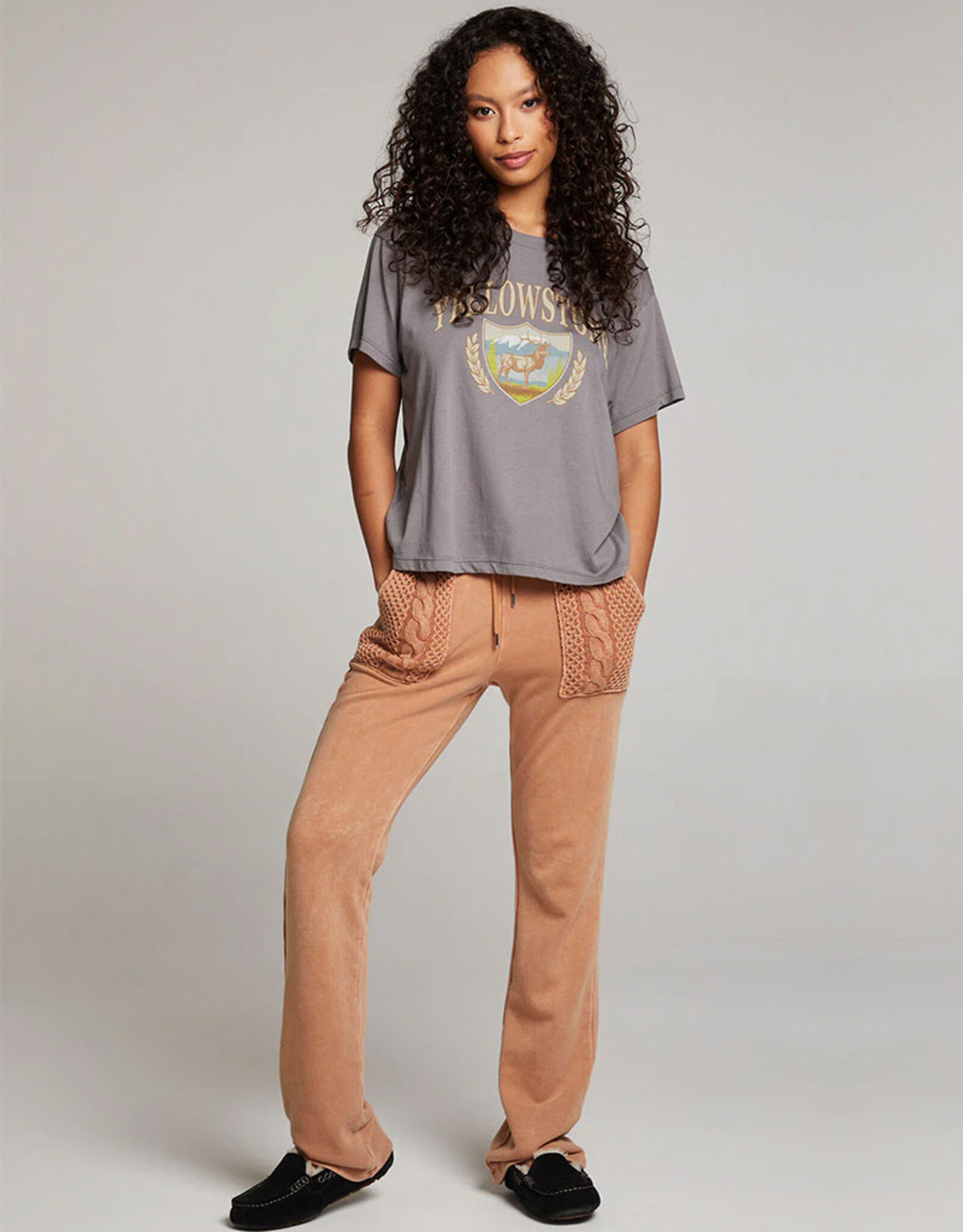 CHASER YELLOWSTONE TEE