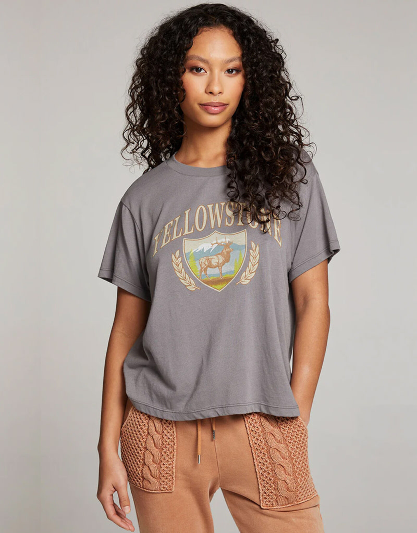 CHASER YELLOWSTONE TEE