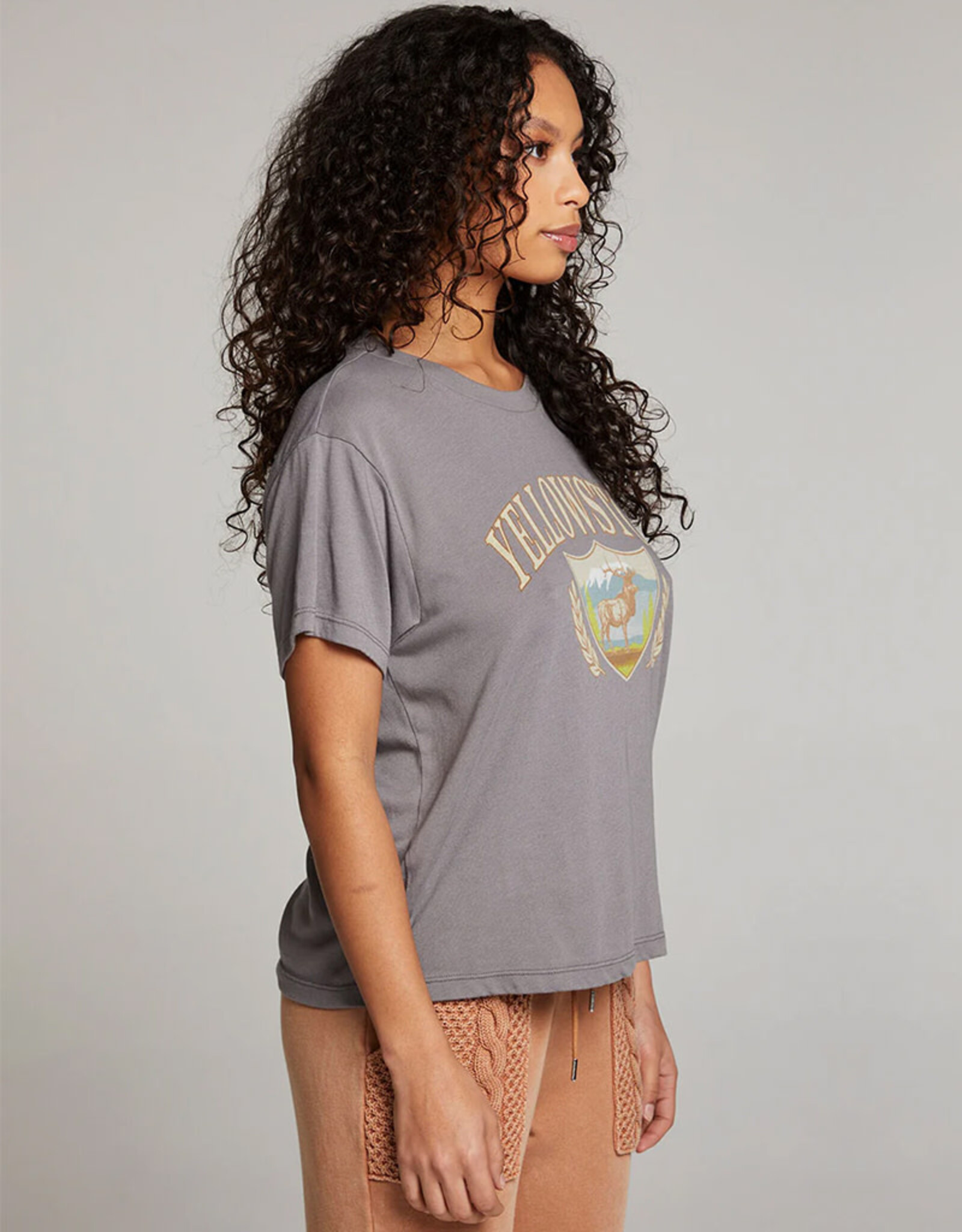 CHASER YELLOWSTONE TEE