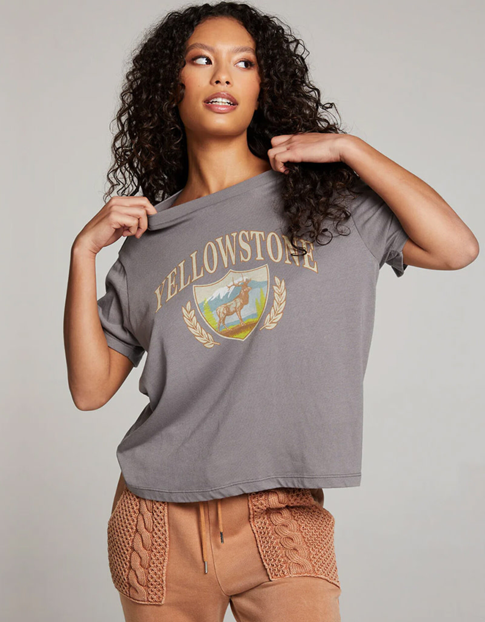 CHASER YELLOWSTONE TEE