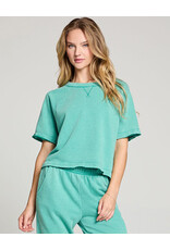 CHASER  AMELIA PULLOVER