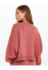 THE UPSIDE SERENDIPITY PALOMA CREW