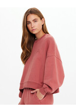 THE UPSIDE SERENDIPITY PALOMA CREW