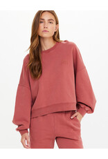 THE UPSIDE SERENDIPITY PALOMA CREW