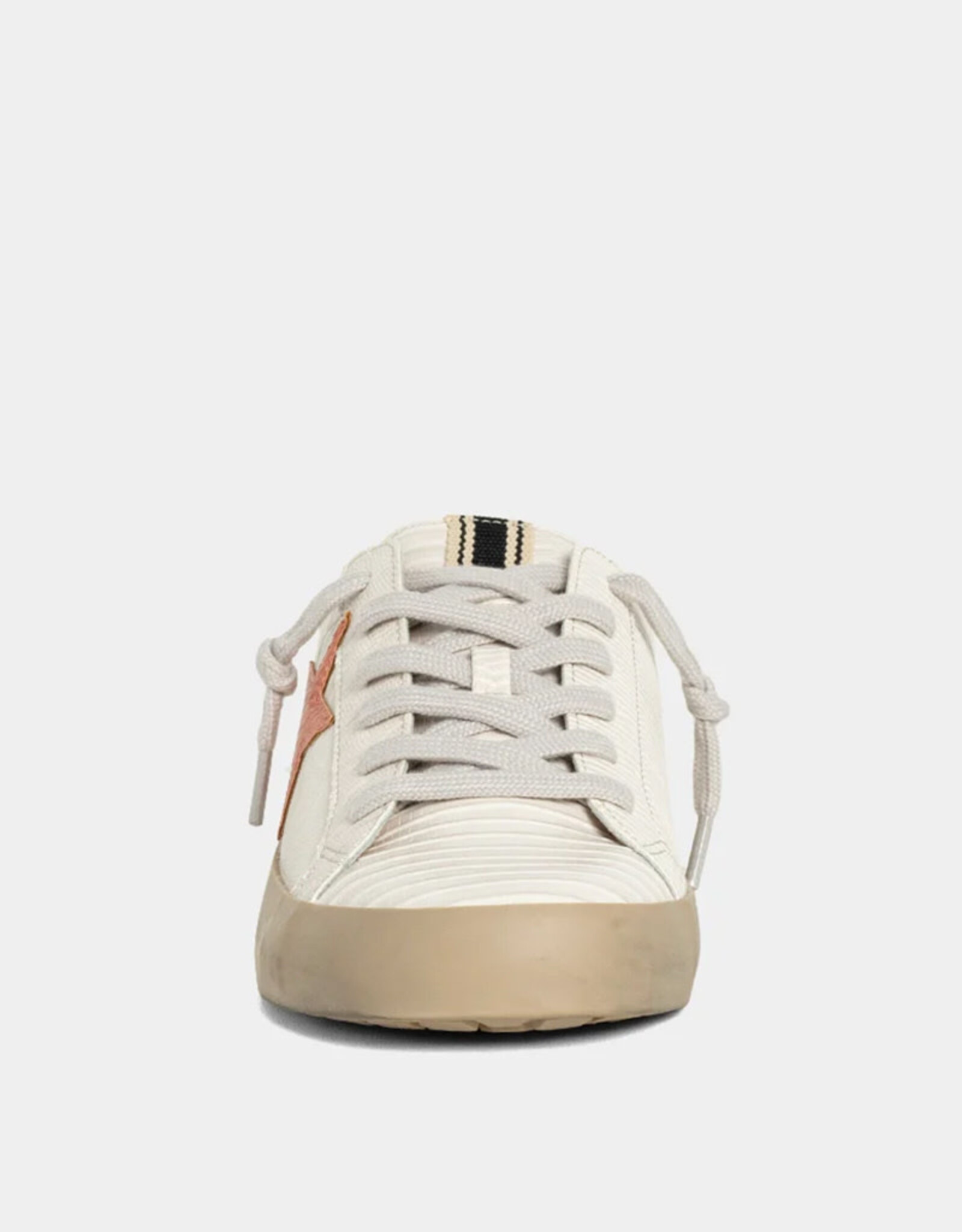 SHUSHOP POLKA LIZARD