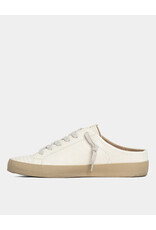 SHUSHOP POLKA LIZARD