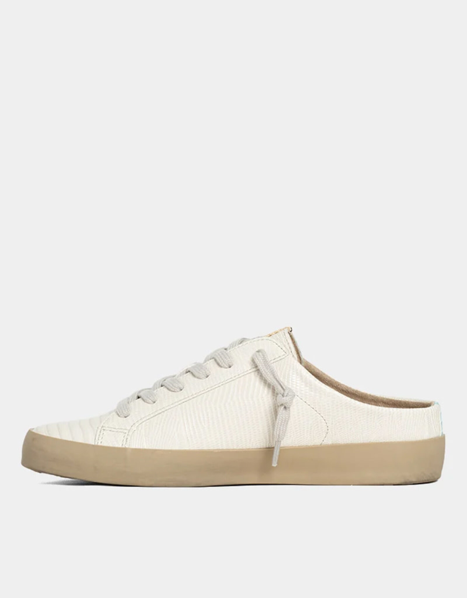 SHUSHOP POLKA LIZARD