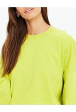 THE UPSIDE PALOMA CREW