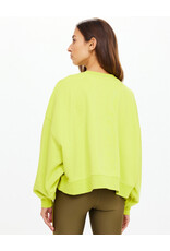 THE UPSIDE PALOMA CREW