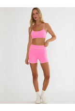 BEACH RIOT RYDER SHORT