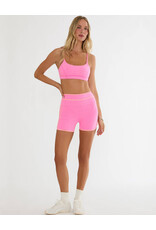 BEACH RIOT RYDER SHORT