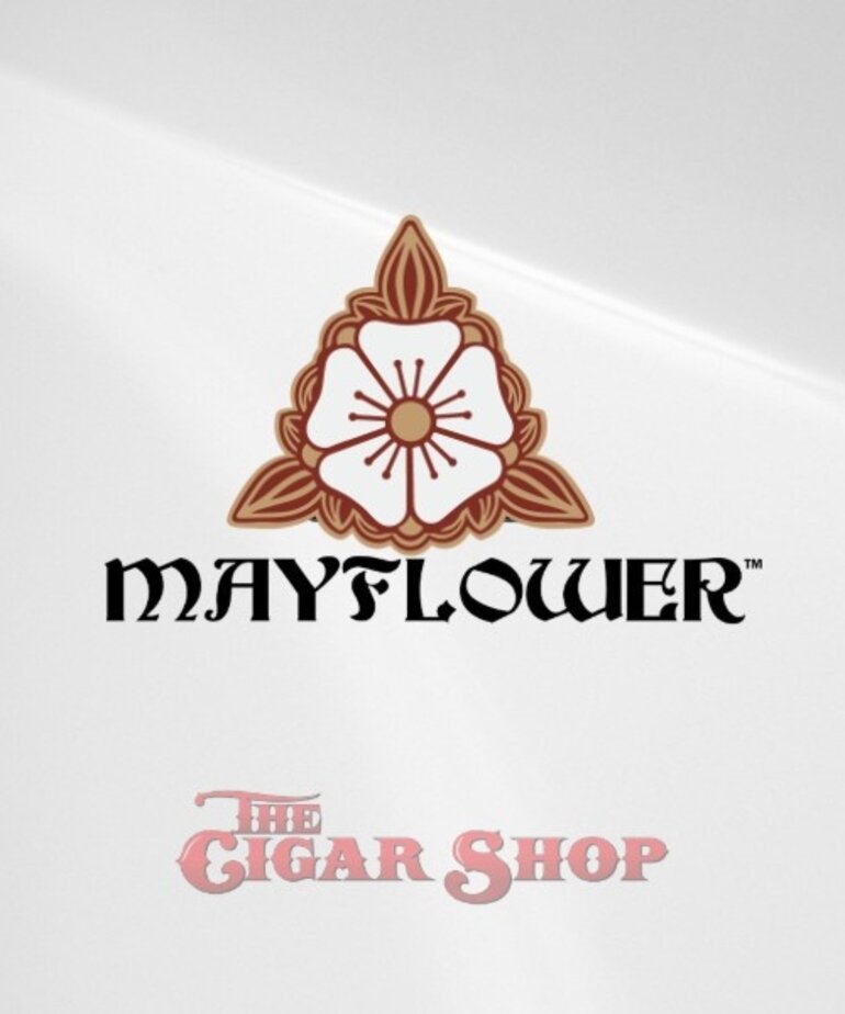 Mayflower Mayflower Dusk Robusto 5.5x50 Box of 15