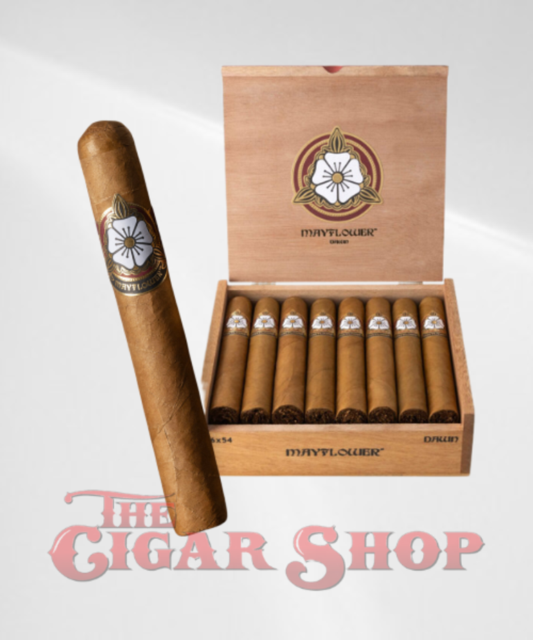 Mayflower Mayflower Dawn Robusto 5x50 Box of 15