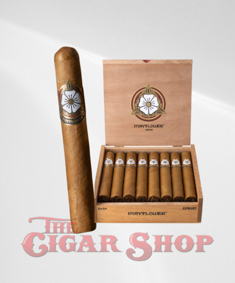 Mayflower Mayflower Dawn Toro 6x54 Box of 15