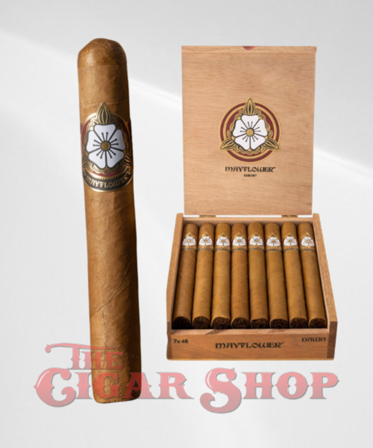 Mayflower Mayflower Dawn Churchill 7x48 Box of 15