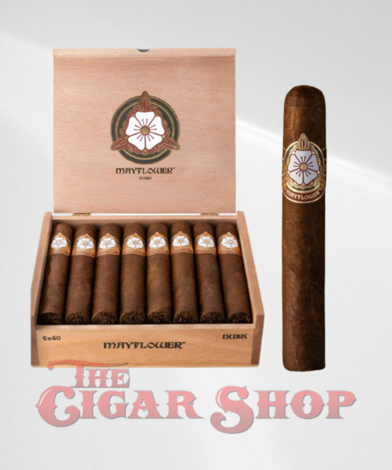 Mayflower Mayflower Dusk Gordo 6x60
