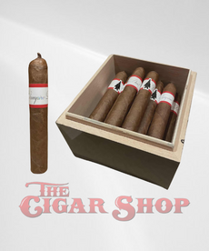 Viaje Weight of Absence Vampire Dust Red 5x54