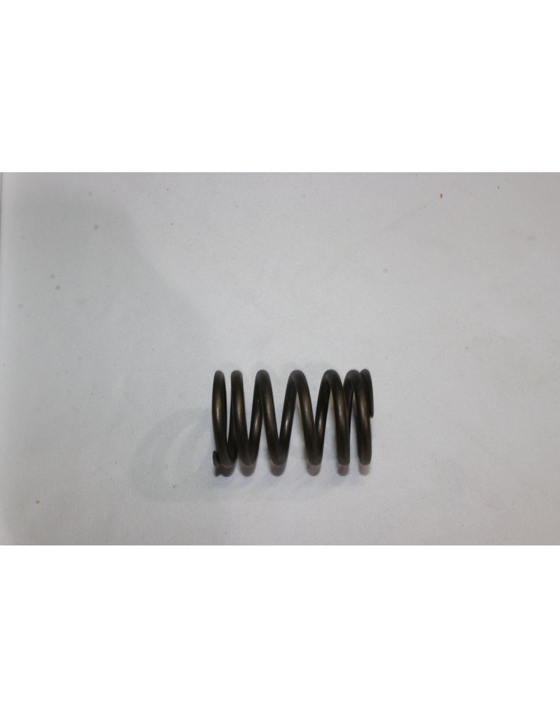 BMW Valve spring for BMW E-24 E-28 E-32 E-34