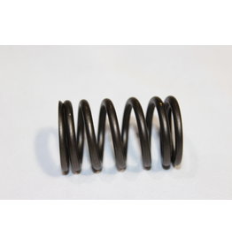 BMW Valve springs for BMW E-28 E-30 E-34 priced each