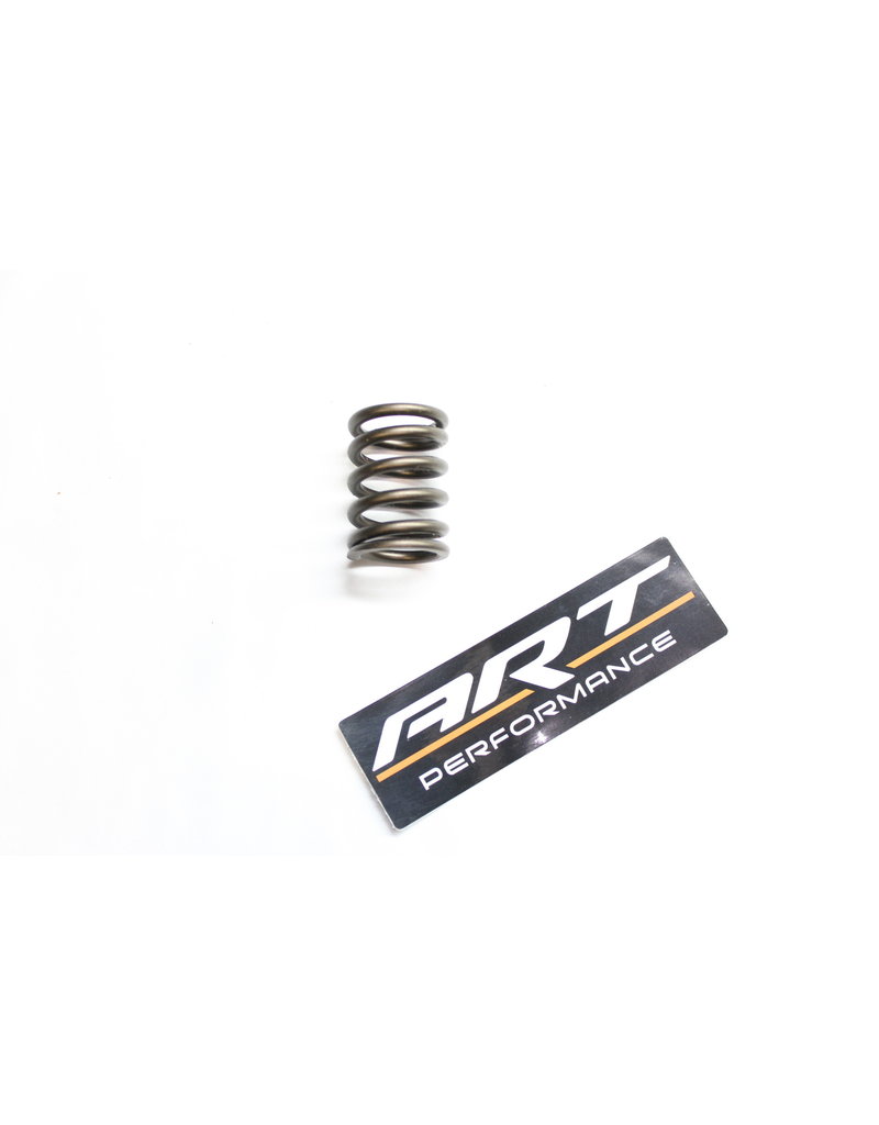 BMW Valve Spring for BMW E-21 E-30 E-12 E-28 E-24 E-23